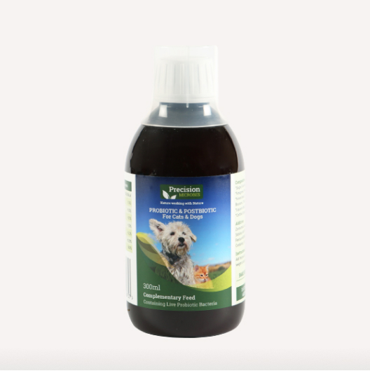 Dog probiotics cheap after antibiotics