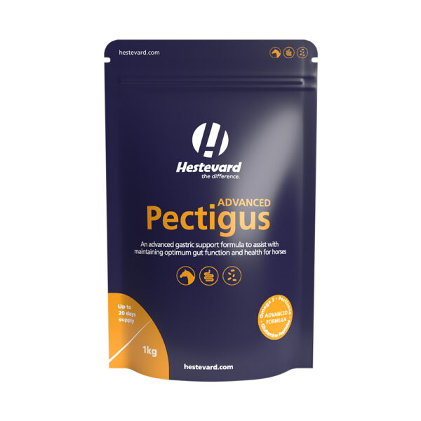 Hestevard Pectigus Advanced