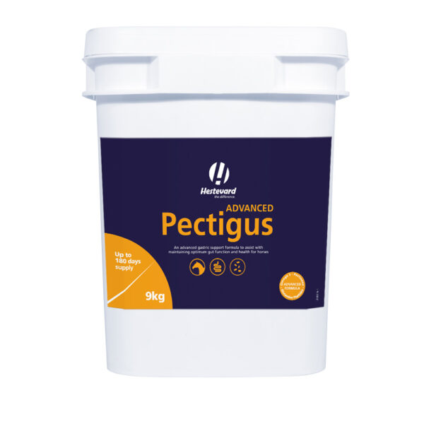 Hestevard Pectigus Advanced - Image 3