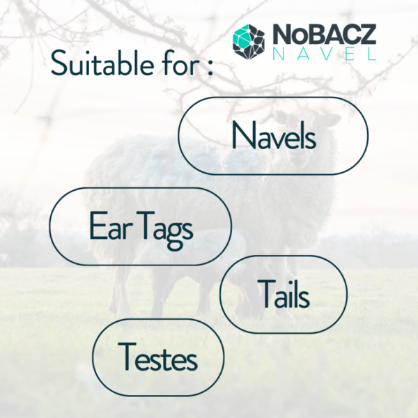 NoBACZ Navel 500ml - Image 5
