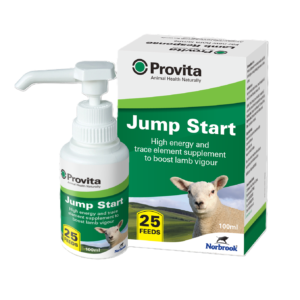 Provita Jump Start